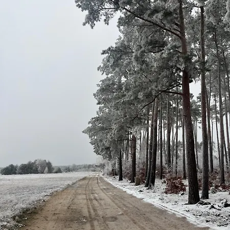 Ranczo Pod Lasem Witnica Exterior foto